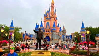 The Partners statue in front of Cinderella Castle at Magic Kingdom Park while it was still painted pink.