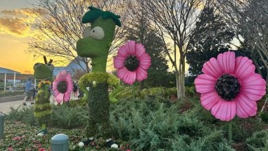 Whimsical topiary bugs and giant pink flower sculptures decorate the garden at EPCOT during the Flower & Garden Festival at sunset.