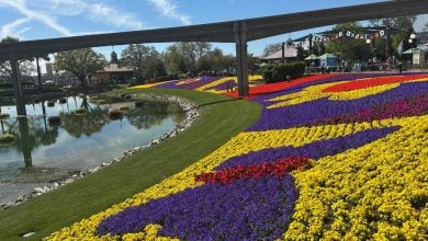 A vibrant flower bed by a sparkling pond, capturing the spirit of EPCOT’s ever-changing Festival landscapes.