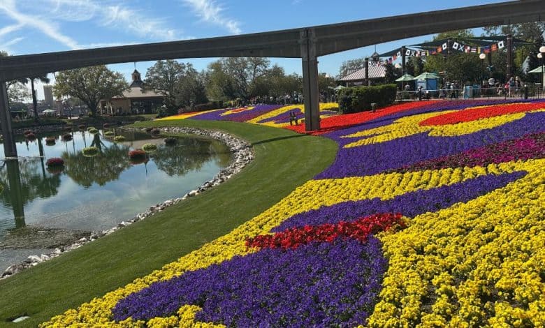 A vibrant flower bed by a sparkling pond, capturing the spirit of EPCOT’s ever-changing Festival landscapes.