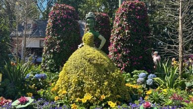 Princess Tiana topiary bursts with vibrant flowers at EPCOT’s ever-changing festival gardens, dazzling Disney park guests.