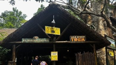 Kilimanjaro Safaris and Wild Africa Trek entrance with thatched roof and safari signs, surrounded by lush Disney greenery.