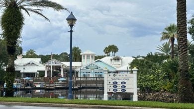 Disney resort villas by a scenic pond with palm trees, streetlamp, and white sign—ideal for Disney Vacation Club members.