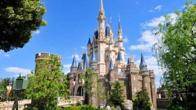 Cinderella Castle at Tokyo Disneyland