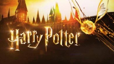 The Golden Snitch and Harry Potter logo set against Hogwarts Castle at sunset inside The Wizarding World of Harry Potter.