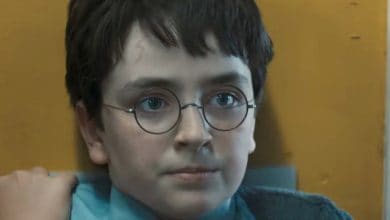 The new Harry Potter in HBO's series