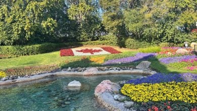 A stunning garden display with a Canadian flag flowerbed, colorful blooms, and a scenic pond, evoking Disney park magic.