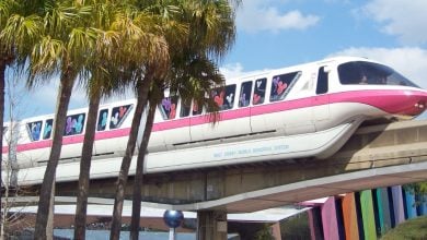 Monorail Pink (now retired) passes through EPCOT at Walt Disney World Resort