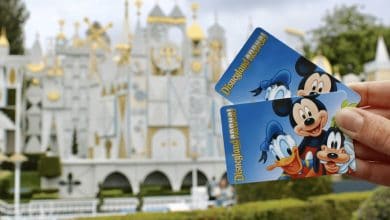 Disneyland annual passes held up in front of "it's a small world"