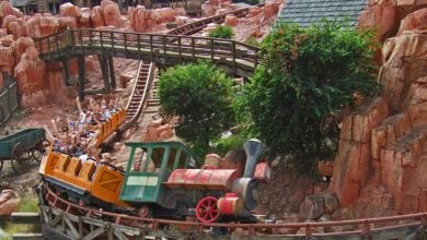 A Big Thunder Mountain Railroad train rushes past.