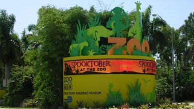 The entrance to Zoo Miami.