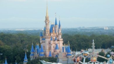 Cinderella Castle at Magic Kingdom Park as seen from above