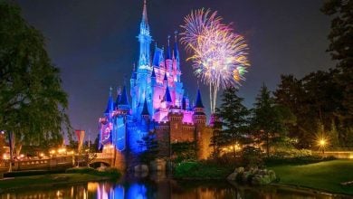 Cinderella Castle lit up in front of fireworks at Tokyo Disneyland