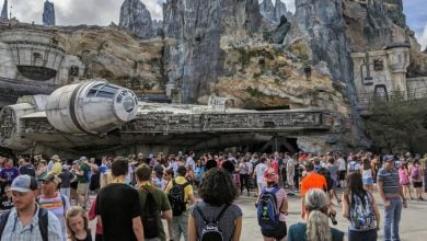 Guests flock to the Millennium Falcon in Star Wars: Galaxy’s Edge at Disney's Hollywood Studios.