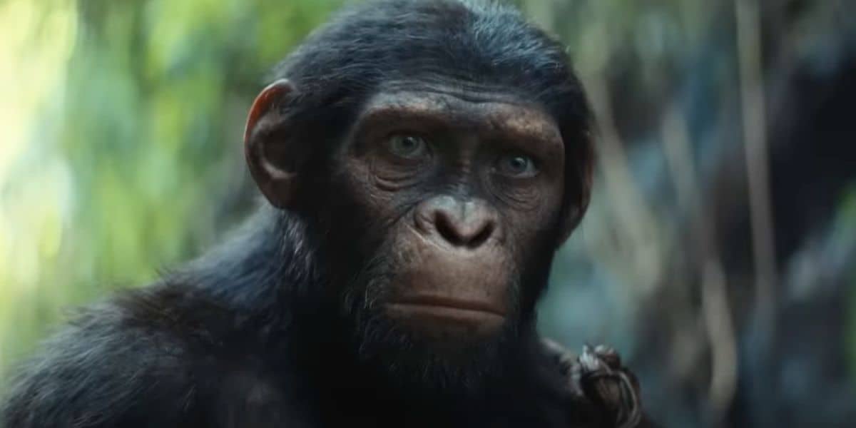 Noa (Owen Teague) headshot in the 'Kingdom of the Planet of the Apes' trailer