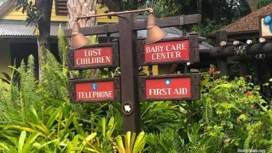 Signs for Baby Care and First Aid at Disney's Animal Kingdom Theme Park at Walt Disney World Resort
