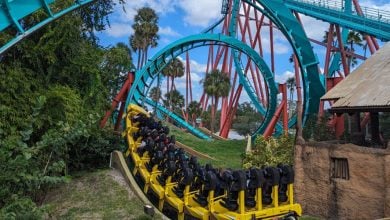 A swirling roller coaster at Busch Gardens Tampa Bay