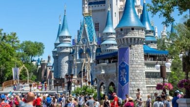 magic kingdom crowds around cinderella castle