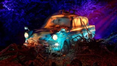The iconic flying Ford Anglia from Harry Potter