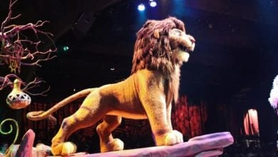 Simba animatronic stands on Pride Rock during the Festival of the Lion King