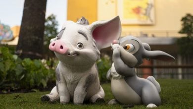 Pua and Thumper statues in the Walt Disney Studios Lot courtyard at Disney's Hollywood Studios