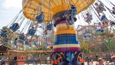 Guests soar on a vibrant swing carousel at a Florida theme park, with roller coasters behind—summer fun and unbeatable deals await!.