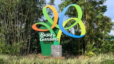 Busch Gardens Tampa Bay entrance sign welcoming guests.