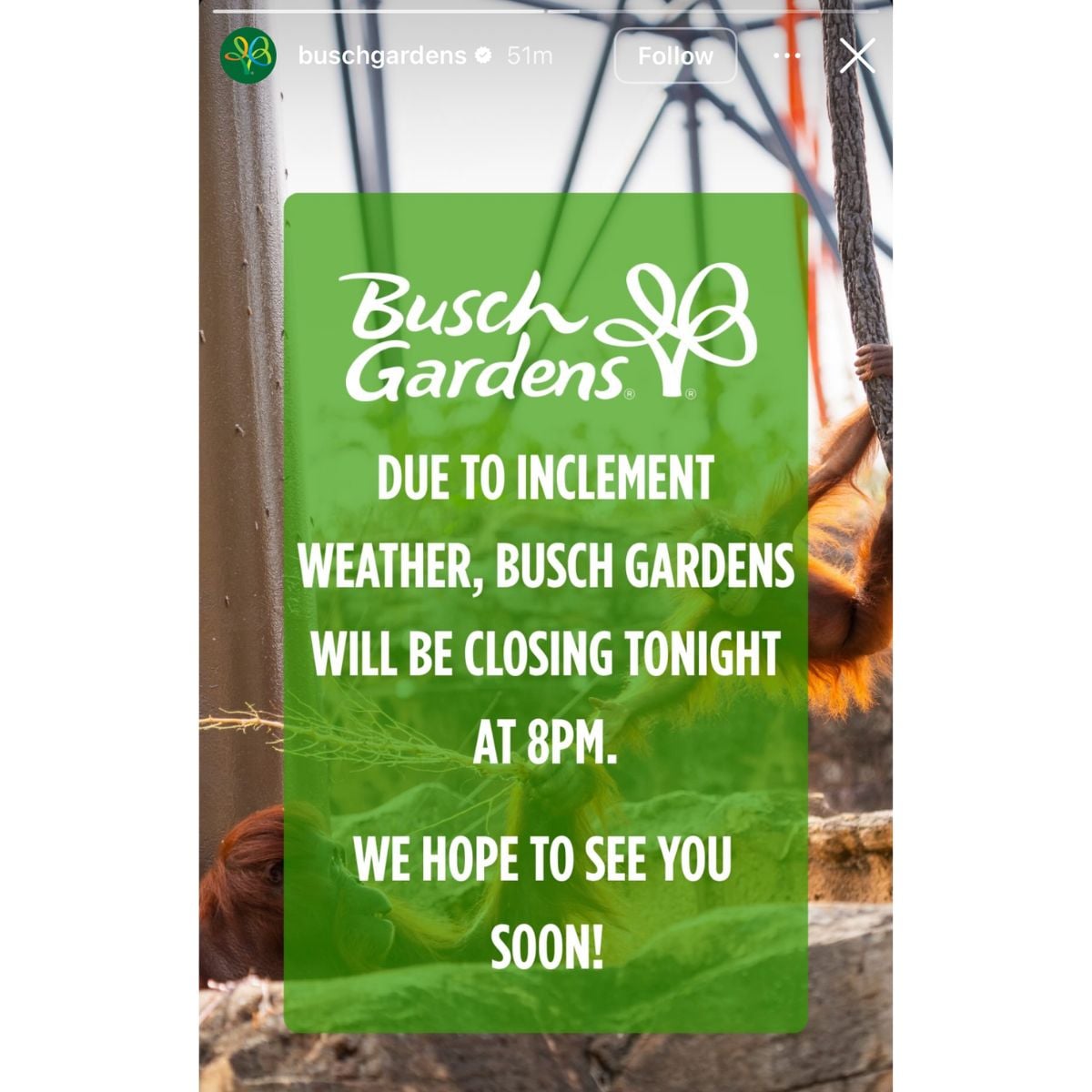 Busch Gardens Tampa Bay’s Instagram story informs guests that the park will close early at 8pm tonight due to inclement weather.