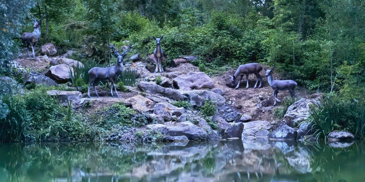Deer figures along the Rivers of the Far West