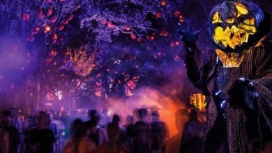 Guests walking through pumpkin scare zone during Universal Orlando's Halloween Horror Nights