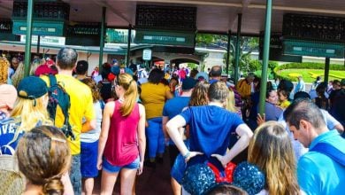 Guests entering Magic Kingdom Park