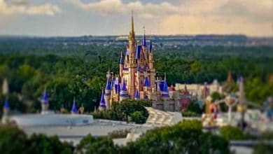 Cinderella Castle at the Magic Kingdom, photographed from the top of Disney's Contemporary Resort.