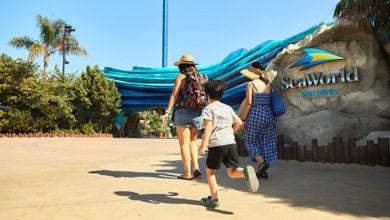 Visitors approach the entrance of SeaWorld San Diego.