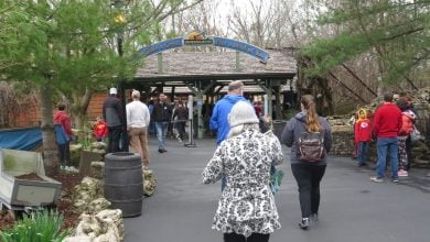 Guests walking into Silver Dollar City.