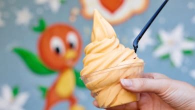 the orange bird and classic dole whip at disney park