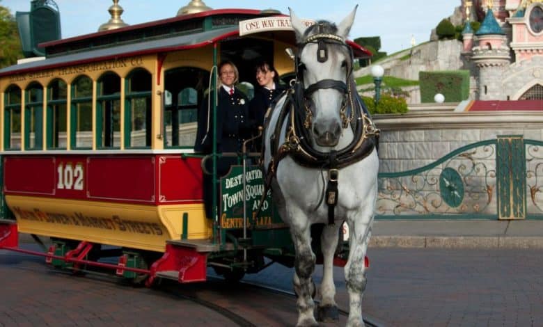 Percheron horse pulling a Horse-Drawn Streetcar along Main Street, U.S.A. at Disneyland Paris.