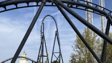 Twisting black steel coaster track packed with thrilling loops set against a bright blue sky, surrounded by lush trees and towering white support structures at the amusement park.