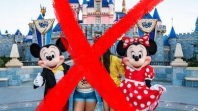Mickey Mouse and Minnie Mouse pose together at Disneyland, their cheerful appearance obscured by a bold red X drawn across the photo.