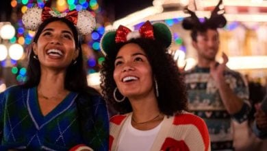disney world guests at magic kingdom during christmas time