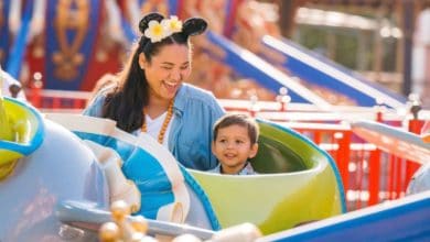 guests ride dumbo in disney world's magic kingdom park