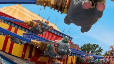 dumbo the flying elephant ride at magic kingdom in disney world