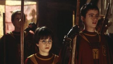Harry Potter and Oliver Wood