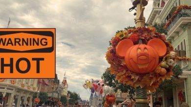 A festive Mickey pumpkin wreath decorates a Main Street lamp post at Disney World, surrounded by autumn leaves and set against cloudy skies, with a nearby “WARNING HOT” sign adding to the lively park atmosphere.
