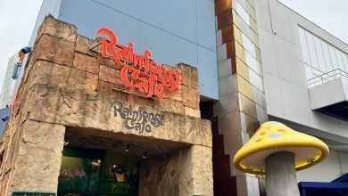 Rainforest Cafe’s iconic stone entrance at Disney Village