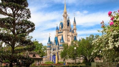 Cinderella Castle in Disney World's Magic Kingdom