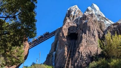 A train rises up the Expedition Everest track.