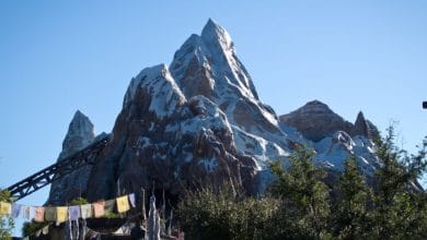 Expedition Everest at Disney's Animal Kingdom Theme Park