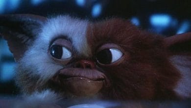 A close-up of Gizmo from Gremlins (1984) film