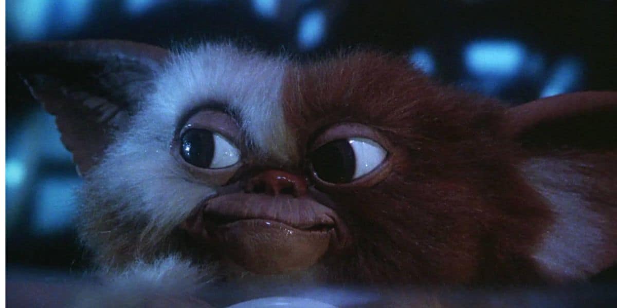 A close-up of Gizmo from Gremlins (1984) film