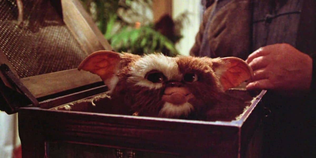 Gizmo in box in 'Gremlins' (1984)